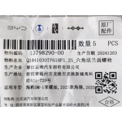 Boulon à bride hexagonale - BYD - 13798290-00