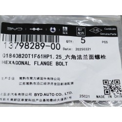 Boulon à bride hexagonale - BYD - 13798289-00