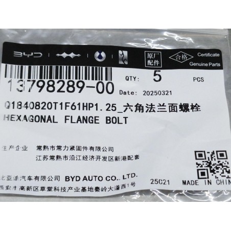 Boulon à bride hexagonale - BYD - 13798289-00