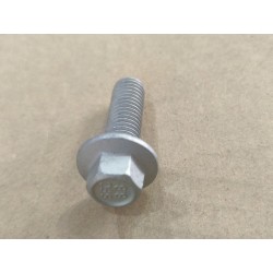 Boulon à bride hexagonale - BYD - 13798278-00