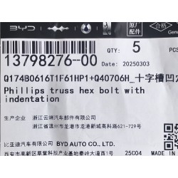 Boulon six pans - BYD - 13798276-00