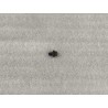 Boulon à bride hexagonale - BYD - 13798260-00