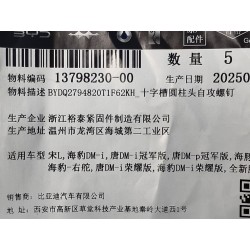 Vis autotaraudeuse - BYD - 13798230-00