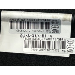 Dossier du siège arrière gauche - Noir foncé 5 - BYD - 13796071-00