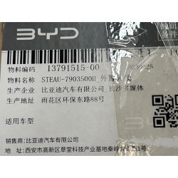 Antenne externe - BYD - 13791515-00
