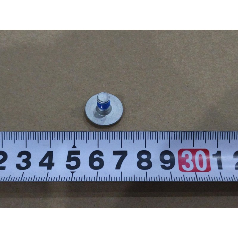 Vis à tête cylindrique large à empreinte Torx - M6×10 - Acier inoxydable - Dacromet - Grade A2-70-Adhésif de blocage bleu - BYD 