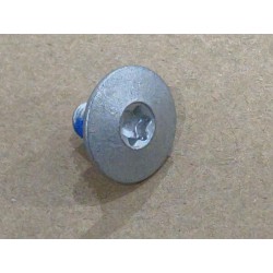 Vis à tête cylindrique large à empreinte Torx - M6×10 - Acier inoxydable - Dacromet - Grade A2-70-Adhésif de blocage bleu - BYD 