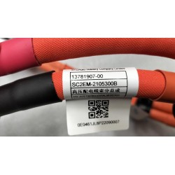Faisceau de câbles de distribution haute tension - BYD - 13781907-00