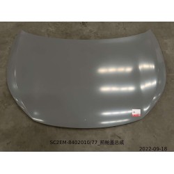 Capot - BYD - 13777457-00