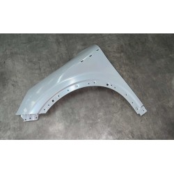 Aile gauche - BYD - 13777447-00