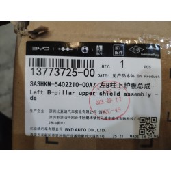 Protection supérieure du pilier B gauche - Noir foncé 5 - BYD - 13773725-00