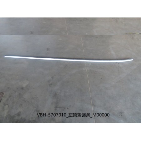 Bande de garniture du couvre-toit gauche - BYD - 13770389-00