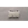 Module de l'airbag passager avant - BYD - 13769248-00