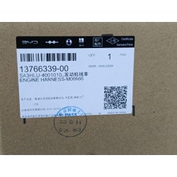 Faisceau de câbles du moteur - BYD - 13766339-00