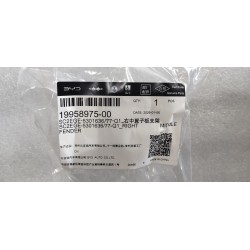 Support d'aile central droit - BYD - 19958975-00