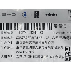 Écrou mince fendu hexagonal - BYD - 13763634-00