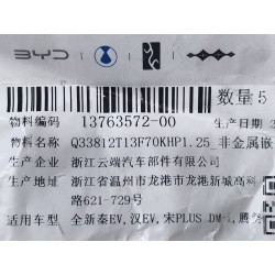 Contre-écrou à bride hexagonale avec insert non métallique - BYD - 13763572-00