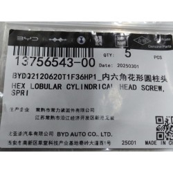 Vis à tête bombée - BYD - 13756543-00