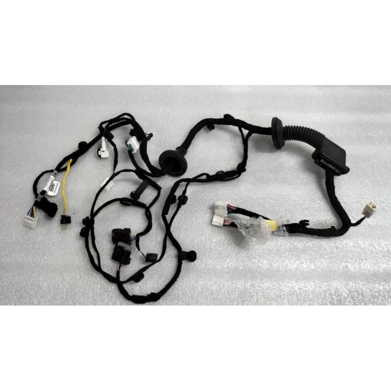 Faisceau de câblage de porte avant droite - BYD - 14368444-00