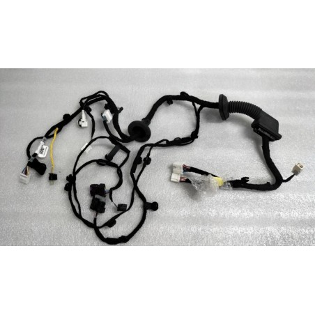 Faisceau de câblage de porte avant droite - BYD - 14368444-00