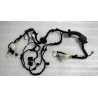 Faisceau de câblage de porte avant droite - BYD - 14368444-00