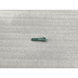 Boulon à bride hexagonale - BYD - 13755991-00