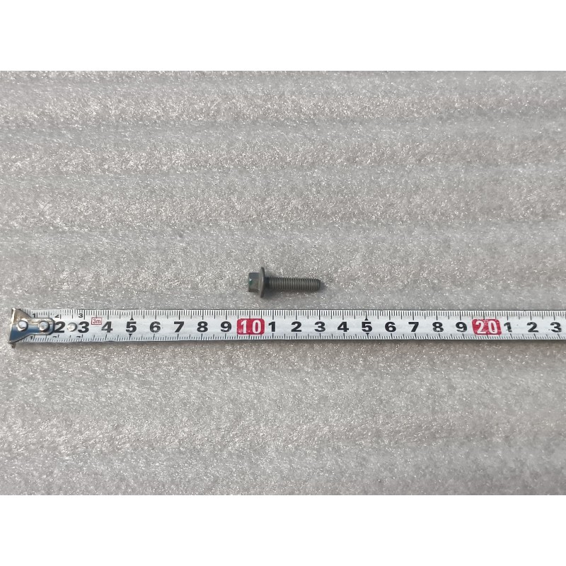 Boulon à bride hexagonale - BYD - 13755989-00
