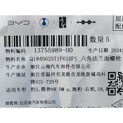 Boulon à bride hexagonale - BYD - 13755989-00