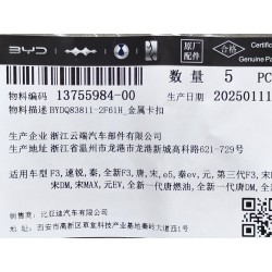 Clip en métal - BYD - 13755984-00
