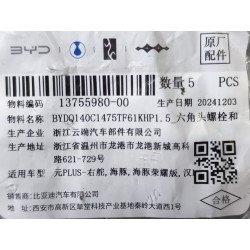 Boulon six pans - BYD - 13755980-00
