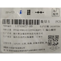 Boulon excentrique - BYD - 13755977-00
