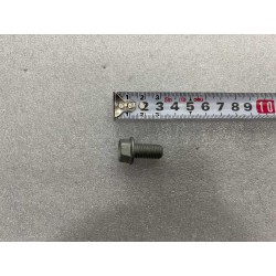 Boulon à bride hexagonale - BYD - 13755976-00