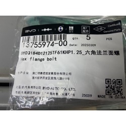 Boulon à bride hexagonale - BYD - 13755974-00
