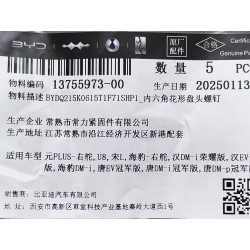 Vis à tête cylindrique bombée à six pans creux - BYD - 13755973-00