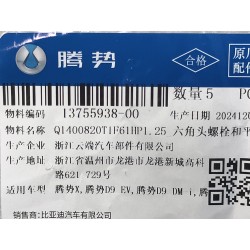 Boulon six pans - BYD - 13755938-00