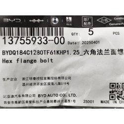 Boulon à bride hexagonale - BYD - 13755933-00