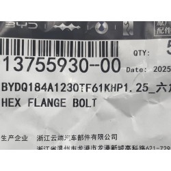 Boulon à bride hexagonale - BYD - 13755930-00