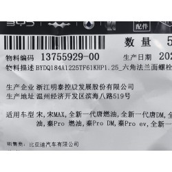 Boulon à bride hexagonale - BYD - 13755929-00