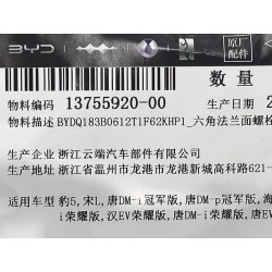 Boulon à bride hexagonale - BYD - 13755920-00