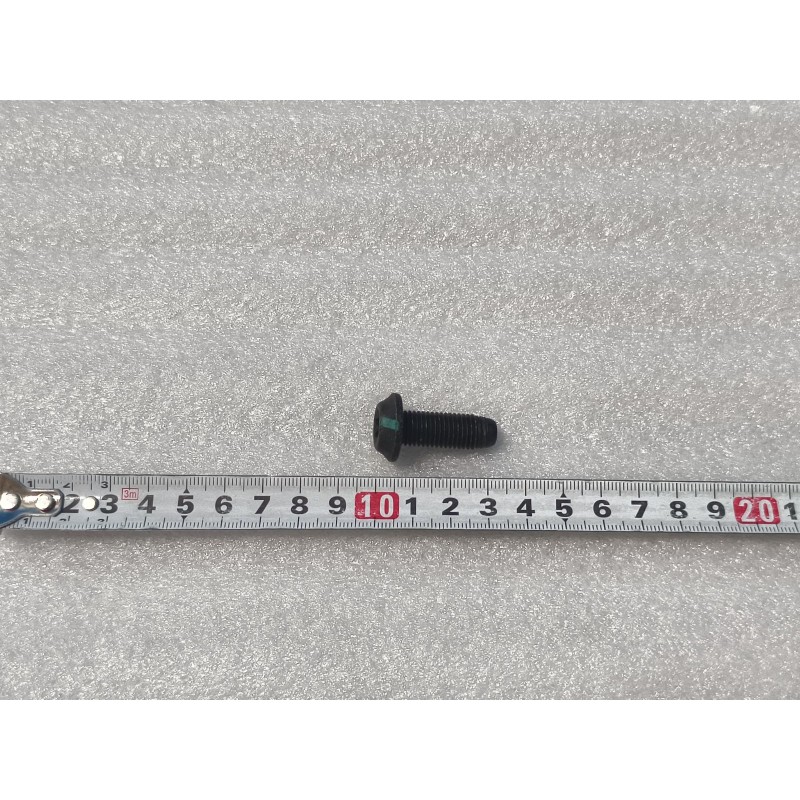 Boulon à tête cylindrique bombée à six pans creux - BYD - 13755919-00