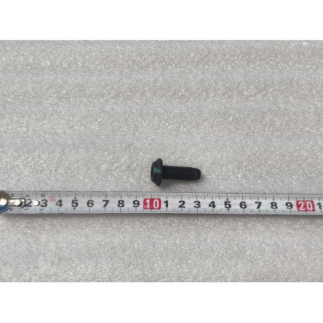 Boulon à tête cylindrique bombée à six pans creux - BYD - 13755919-00