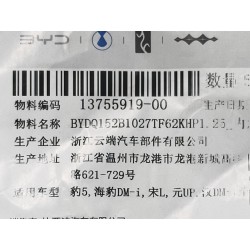 Boulon à tête cylindrique bombée à six pans creux - BYD - 13755919-00