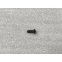 Boulon à tête cylindrique bombée à six pans creux - BYD - 13755919-00