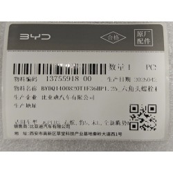Boulon six pans - BYD - 13755918-00