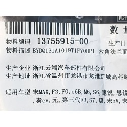 Boulon creux à bride à six pans - BYD - 13755915-00