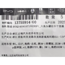 Boulon six pans - BYD - 13755914-00