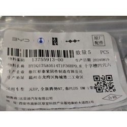 Boulon six pans - BYD - 13755913-00