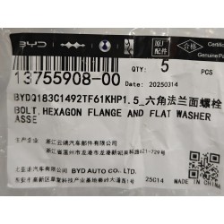 Boulon à bride hexagonale - BYD - 13755908-00