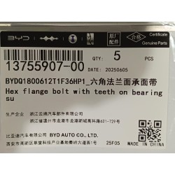 Boulon à bride hexagonale avec dent sur la surface d'appui - BYD - 13755907-00