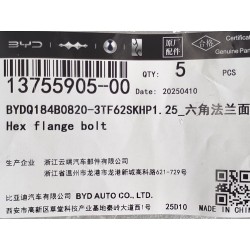 Boulon à bride hexagonale - BYD - 13755905-00